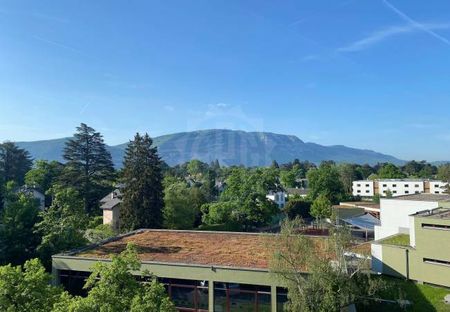 Appartement Spacieux - Chêne-Bougeries - Foto 5