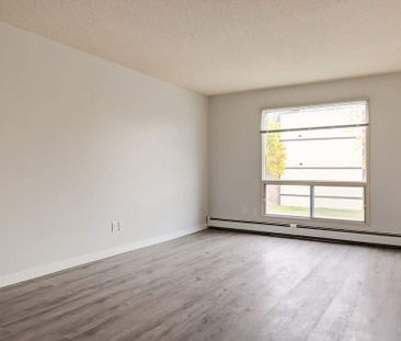 Premier Suite - 1 Bedroom - Photo 1