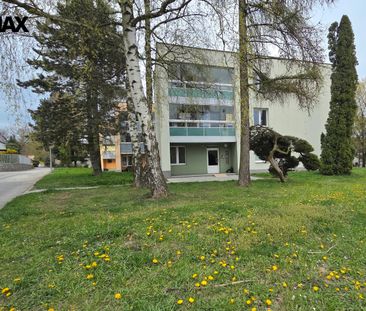 Pronájem bytu 2+kk v družstevním vlastnictví 49 m², Orlová - Photo 6