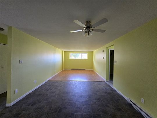 312 rue Bowen Sud, Sherbrooke disponible dès maintenant - Photo 1