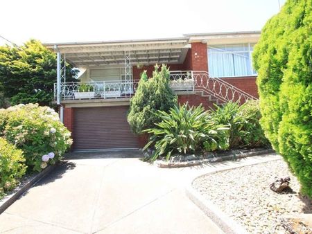 49 Kilbride Street Hurlstone Park - Photo 3