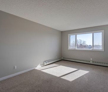 1 Bedroom - Photo 5