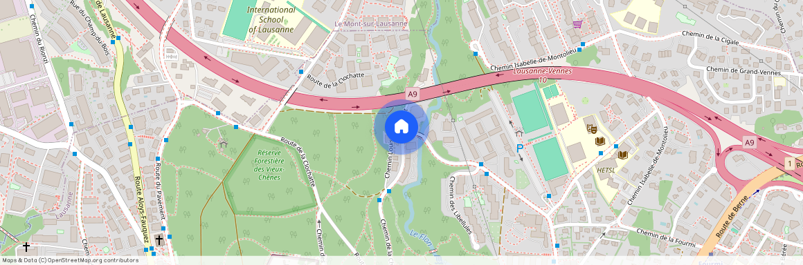 1010, Lausanne, Chemin Louis-Boissonnet, 90