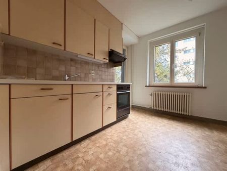 3 Zimmer, EG - Photo 4