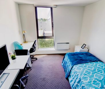 Standard Studio - Photo 3