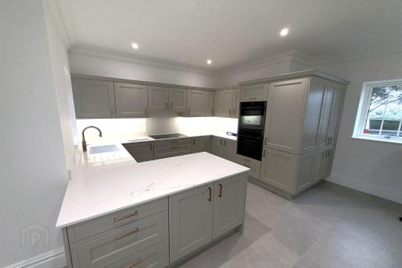 Apt 33, Cromlyn Wood, Hillsborough, BT26 6TX - Photo 3