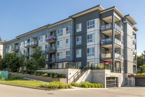 PARALLEL TWO APTS - 301 - P2-301 - Photo 1