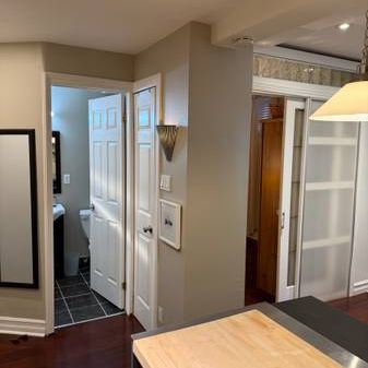 STYLISH AND COZY JUNIOR 1 BEDROOM-425 SQFT,ANNEX, HURON STR - Photo 3