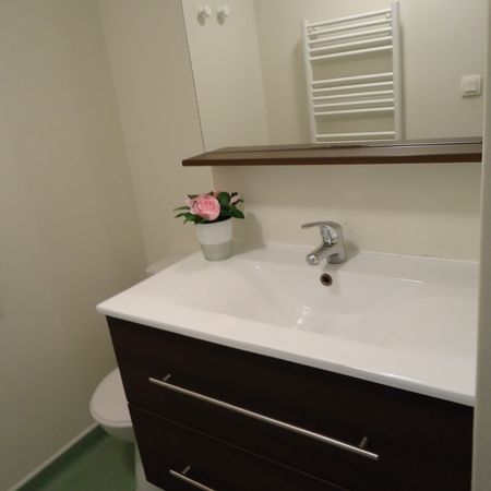 Location Appartement 2 pièces 43m² - Photo 4