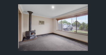 Hi, I'm Cute and Cosy... - Photo 2