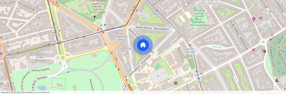 Avenue Ernestine, 15, 4, 1050, Ixelles (Ixelles)