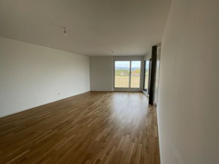 Lease renewal – 2.5 rooms, Nyon (Petite Prairie) on: 01.02.2026 - Photo 2