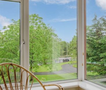 10 Rugby Court, Belfast, BT7 1PN - Photo 3