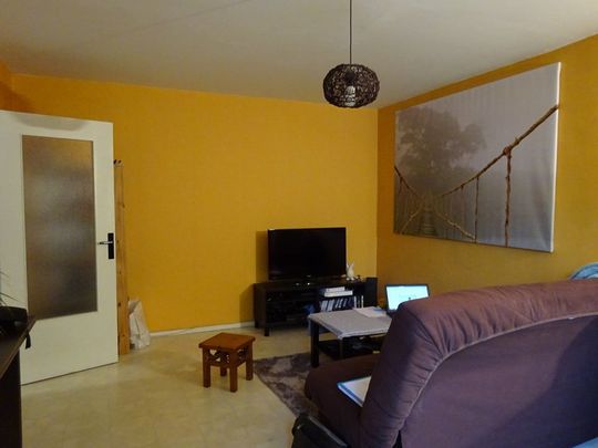 Location Appartement 2 pièces 50m² - Photo 1
