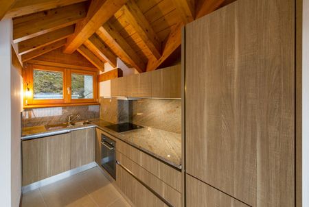 Triplex apartment with magnificent panoramic view - Photo 4