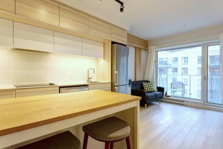 Appartement à louer, Montréal (Le Sud-Ouest) - Photo 4