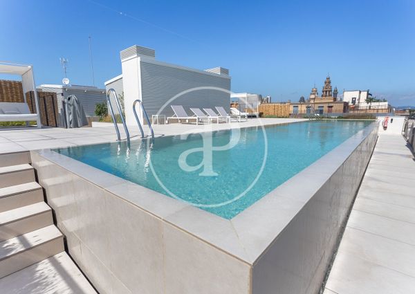 Luxury Apartment for rent on Paseo Colón (Gothic Quarter)