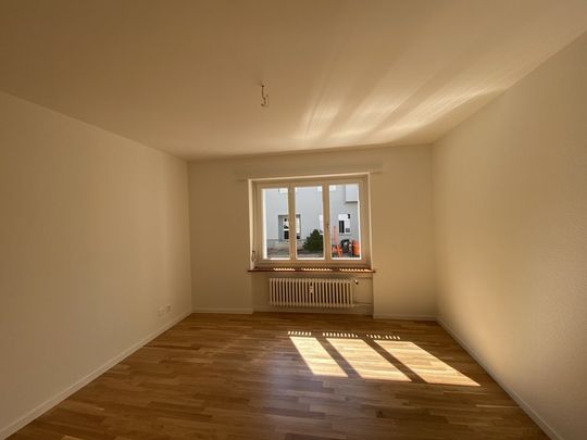 schöne, helle und renovierte 2.5-Zimmerwohnung im EG - Foto 1