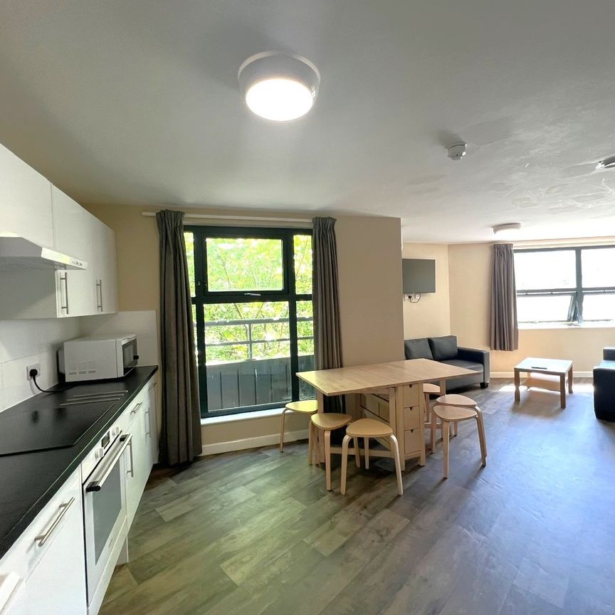 7 Bed Flat, Stokes Croft, BS1 - Photo 1