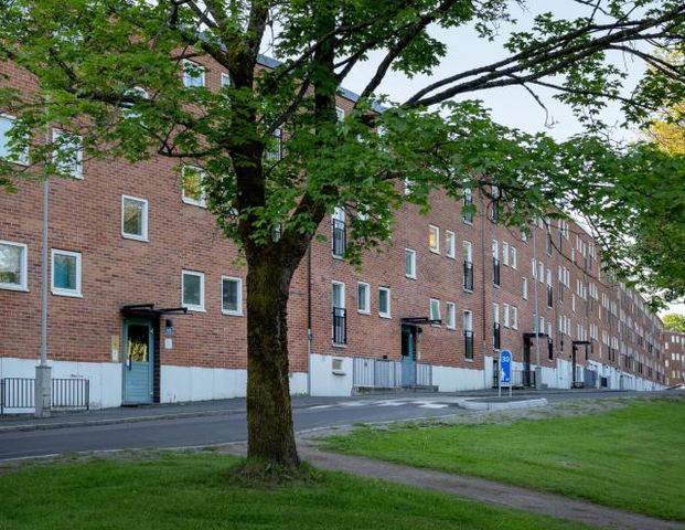 Gregorianska gatan 111 - Photo 1