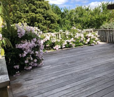 Family Home Three Bedrooms Meadowbank - Photo 6
