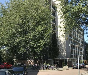 Amerbos 0ong, 1025 Amsterdam, Nederland - Foto 1