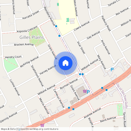 14A Grant Ave, SA 5086, Gilles Plains