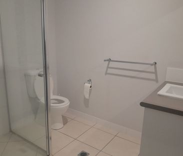 Great 4 Bedroom Home In Westdale - Photo 6