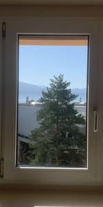 Charming studio located in Montchoisi 9 in Lausanne - Photo 4