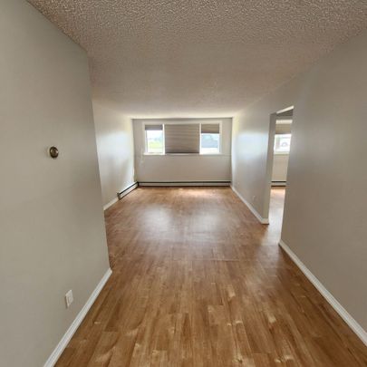 Main Floor 1 Bedroom Suite for Rent – 1530 Alexandra Street - Photo 1