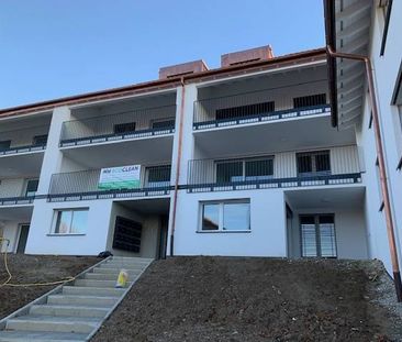 Magnifique appartement 4.5 pièces au rez-de-chaussé à louer à Miser... - Foto 3