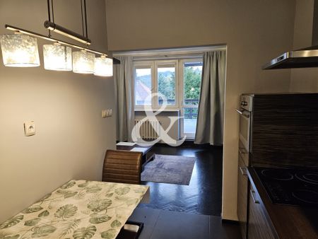 Sopot Kamienny Potok - Zdjęcie 3