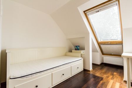 Denevér köz - Fotó 5