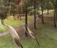 mazowieckie, Warszawa, Targówek, Bródno-Podgrodzie, Krasnobrodzka - Photo 2