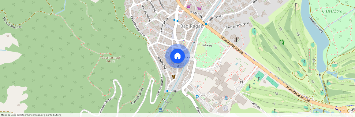 7310, Bad Ragaz, Badstrasse