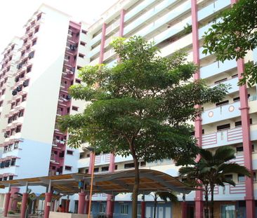 Blk 503B Canberra Link (Sembawang), HDB 4 Rooms - For Rent - Photo 4