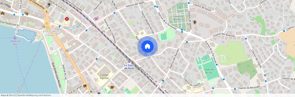 Avenue de Bel-Air 84, 1814, La Tour-De-Peilz