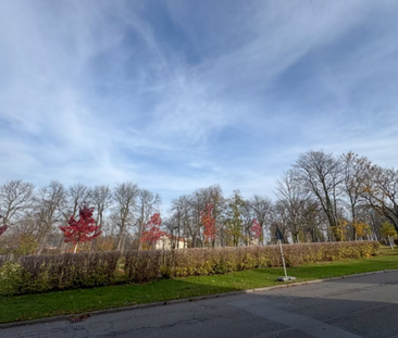 Frisch Renoviert! Gemütliche 2-Raum-Wohnung in zentraler Lage - Photo 6