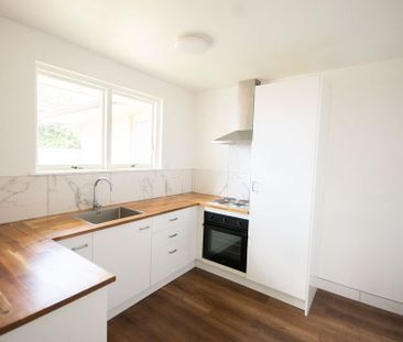 Charming 1BR Home in Sockburn! - Photo 2