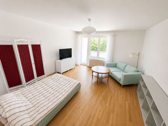 1.5 Zimmer, 43 m², EG - Foto 1