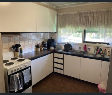 Centrally Located Large Unit - Photo 3