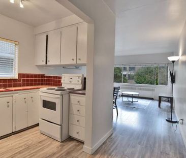 AVAILABLE February 1st- Pet Friendly Furnished 1 Bedroom @ 1540 Haro - Photo 1