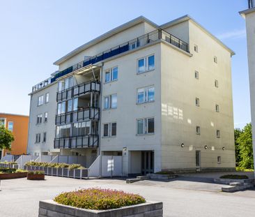 Guldringen 39, Ringdansen - Foto 3