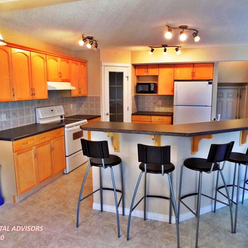 1521 Robertson Way - Photo 1
