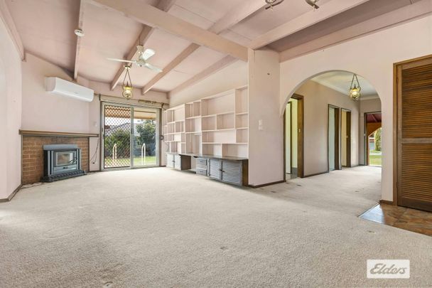 "As rare as hens' teeth" - Photo 1