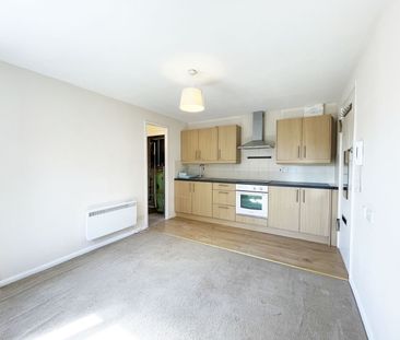 1 Bedroom - Photo 3