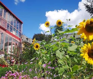 4 Zimmer, 98 m², 1. Stock - Foto 6