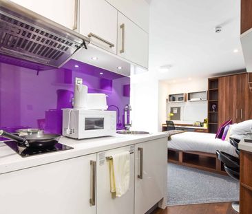 Studio Gold - Photo 6