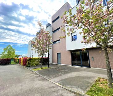 Location Appartement 1 pièce 33m² FRANQUEVILLE ST PIERRE 76520 - Photo 5