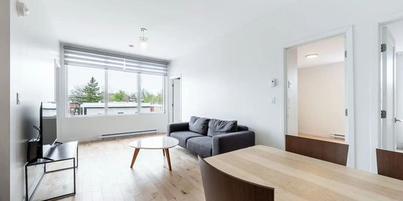 Ville-Émard - 6 1/2 - 4 Chambres + 2 SDB - Photo 3